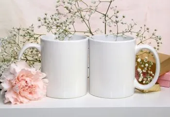 Premium Photos