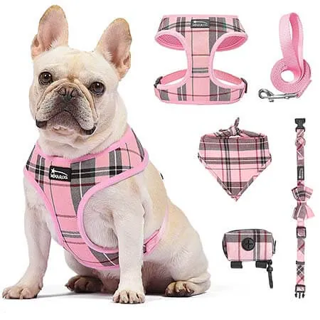 Pet Supplies